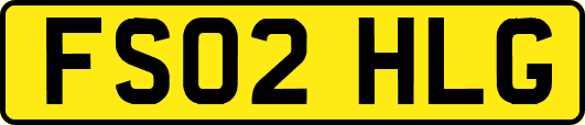 FS02HLG