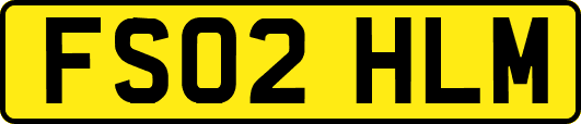 FS02HLM