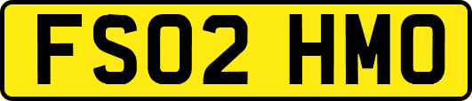 FS02HMO