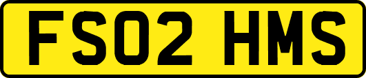 FS02HMS
