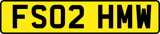 FS02HMW