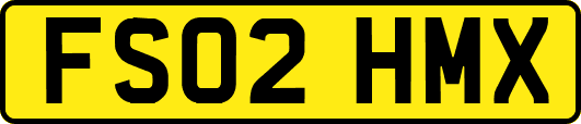 FS02HMX