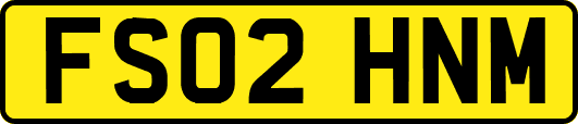FS02HNM