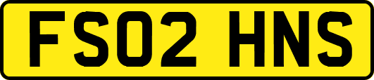 FS02HNS