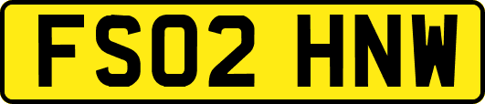 FS02HNW