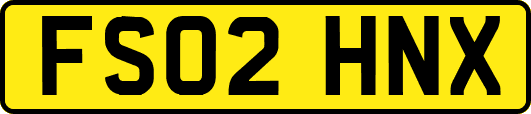 FS02HNX
