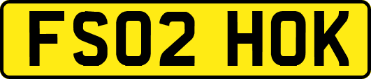 FS02HOK