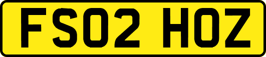 FS02HOZ