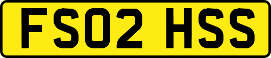 FS02HSS