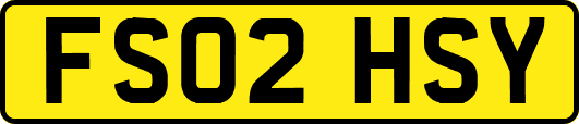 FS02HSY
