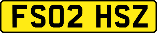 FS02HSZ