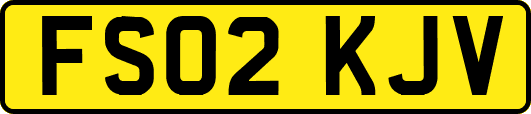 FS02KJV
