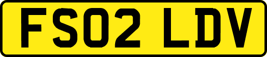 FS02LDV