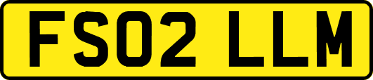FS02LLM