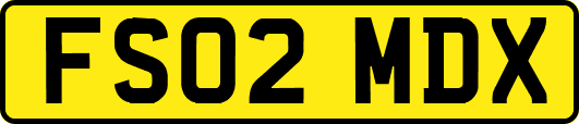 FS02MDX