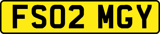 FS02MGY