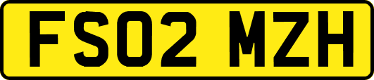 FS02MZH