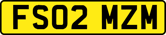 FS02MZM