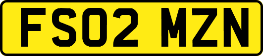 FS02MZN