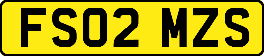 FS02MZS