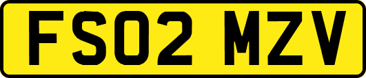 FS02MZV