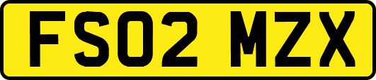 FS02MZX