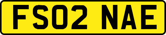 FS02NAE