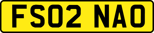 FS02NAO
