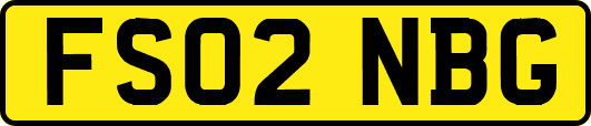 FS02NBG