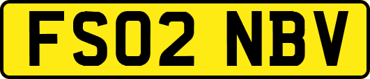 FS02NBV