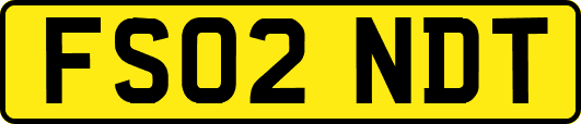 FS02NDT