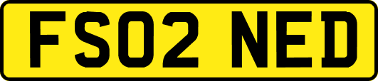 FS02NED