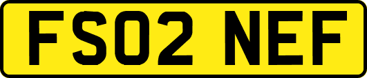 FS02NEF