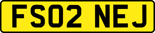 FS02NEJ