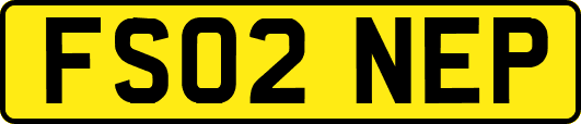 FS02NEP