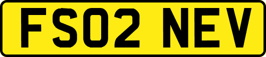 FS02NEV