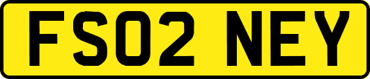 FS02NEY