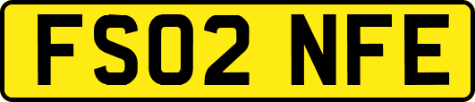 FS02NFE