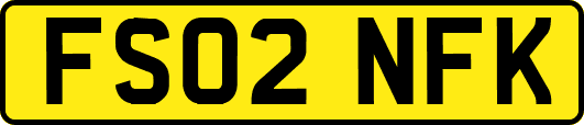 FS02NFK