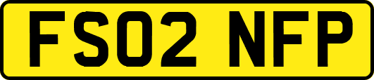 FS02NFP