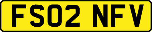 FS02NFV