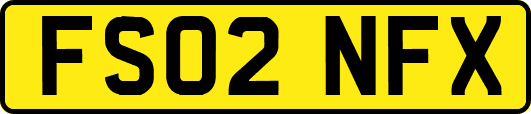 FS02NFX
