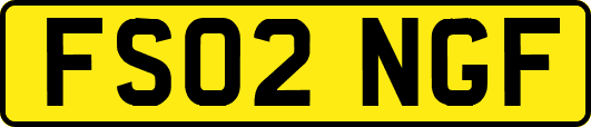 FS02NGF