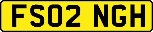 FS02NGH