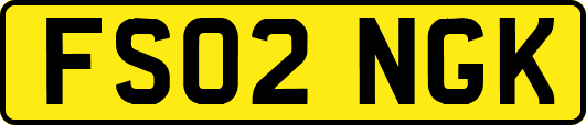 FS02NGK