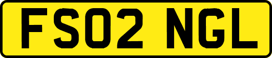FS02NGL