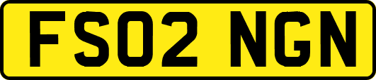 FS02NGN