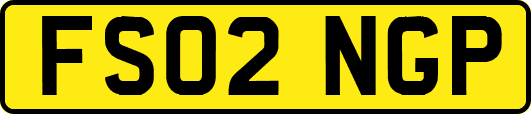 FS02NGP