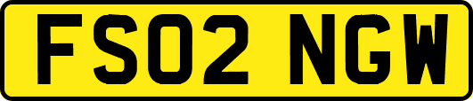 FS02NGW