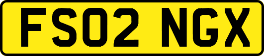 FS02NGX